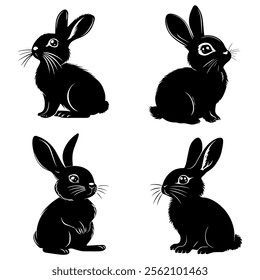 black and white rabbit on a white background