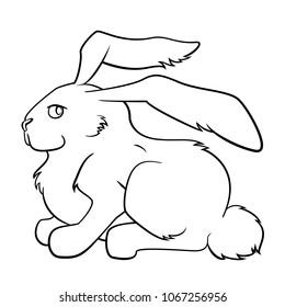 Black and white rabbit profile character vector illustration
