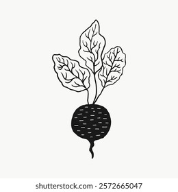 Black and white radish illustration with leafy greens. Simple radish design. Radish sketch with leaves. Minimalist radish art with detailed leaves. Doodle vector illustration isolated on white.