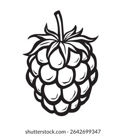 Black and white raspberry illustration