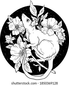 Rata blanca y negra con flores. Ilustración vectorial.