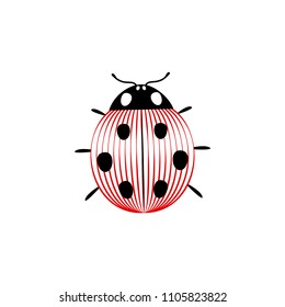 Black and white and red striped elegant ladybug insect, vector