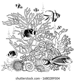 Black and white reef scenery with corals, shells and tropical fishes. Hand drawn vector illustration isolated on white background.