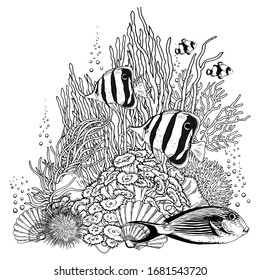 Black and white reef scenery with corals, shells, bubbles and fishes. Sketchy vector illustration isolated on white background.