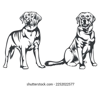Black and White Retriever Dog Face illustration for t-shirt
