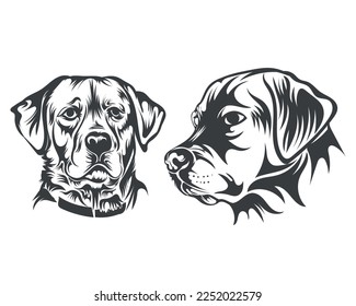 Black and White Retriever Dog Face illustration for t-shirt