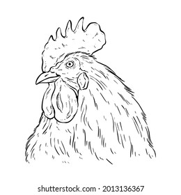 cabeza de gallo en blanco y negro con estilo de dibujo o dibujo a mano