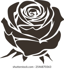 A black and white rose