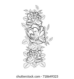black and white rose