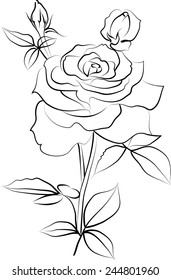black and white rose design