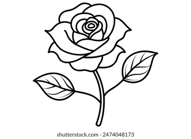 black and white rose design