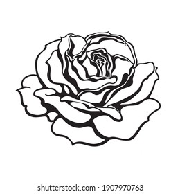 Black And White Rose Flower Fully Open. Design Element For Tattoo, Stencil, Greeting Cards, Flower Shops. Vector Illustration Isolated On White Background.