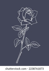 Black and white rose flower with leaves and stem. Realistic vector illustration of open rose bud. Hand drawn sketch. Decorative element for tattoo, greeting card, wedding invitation.