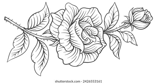 black and white rose flower. Sketch Floral Botany Collection. flower drawings. Black and white with line art on white backgrounds. Hand Drawn Botanical Illustrations.Vector.