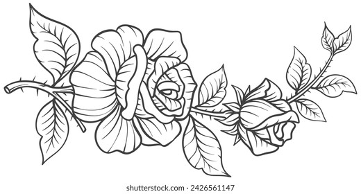 black and white rose flower. Sketch Floral Botany Collection. flower drawings. Black and white with line art on white backgrounds. Hand Drawn Botanical Illustrations.Vector.