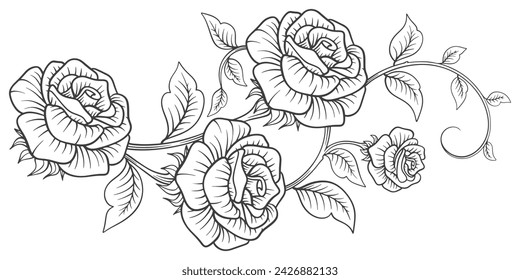 black and white rose flower. Sketch Floral Botany Collection. flower drawings. Black and white with line art on white backgrounds. Hand Drawn Botanical Illustrations.Vector.