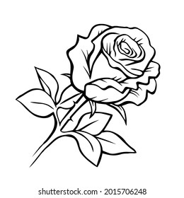 Schwarz-Weiß-Rose, handgezeichnet. Pflanzen und Blumen. Dekoratives Design. einzelne Vektorgrafik