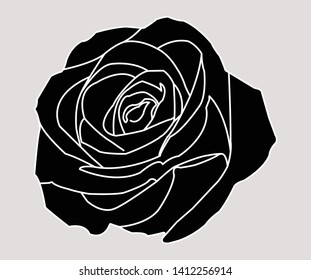 Black and white rose illustration - vector 