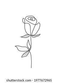 Black and white rose vector, plant vector  