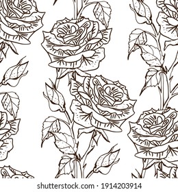 Black  and white roses, ornamental flowers Seamless Pattern, isolated on white background  Floral  border wallpaper vector illustration