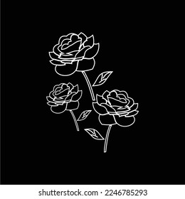 black and white roses are simple and elegant, suitable for use in all fields, especially in sectors related to the plant world