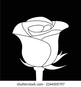 black and white roses are simple and luxurious, suitable for use in all fields, especially those related to the plant world