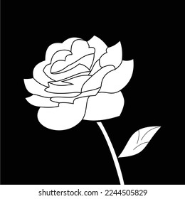 black and white roses are simple and luxurious, suitable for use in all fields, especially those related to the plant world