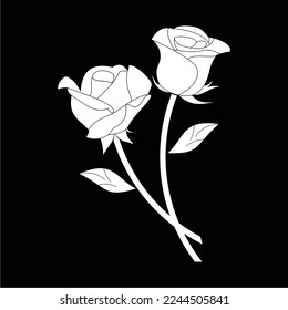 black and white roses are simple and luxurious, suitable for use in all fields, especially those related to the plant world