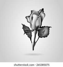 black and white roses. vector illustration. silhouette, sketch. paper card