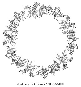Black and white round frame with tomatoes. Monochrome outline wreath with tomatoes, tomato leaves and flowers on white background for your design. Different sorts of tomatoes