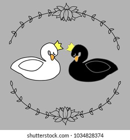  black and white royal swans 