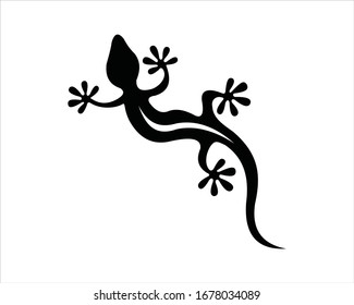 Black and white salamander vector illustration