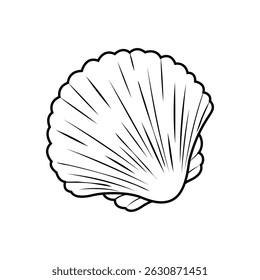 Black and white scallop shell line art. Great for coloring pages, marine-themed decor, or educational materials.