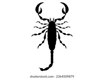 Vector de clipart de escorpión blanco y negro aislado en fondo blanco