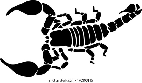 Black and white Scorpion Isolated on White Background. 