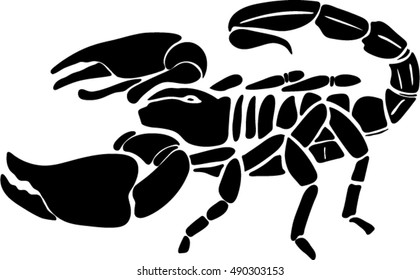 Black and white Scorpion Isolated on White Background. 