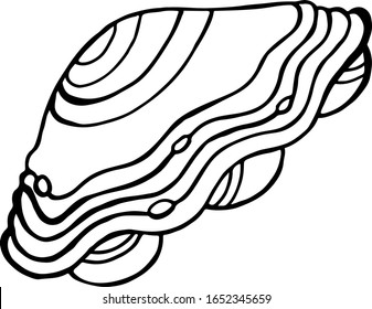 Black and white sea shell doodle sketch illustration. Underwater world. Hand-drawn sea and ocean animals. Fish silhouette on a white background.