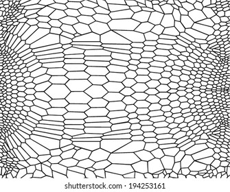 Black and White Seamless Diamond Print in Vector