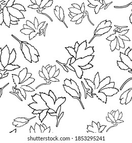 Black and white seamless floral pattern with hand draw spring flower. Vector 10 EPS for your creative design