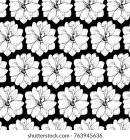 Black and white seamless floral pattern. Delphinium flowers vector illustration.  