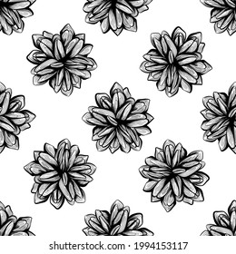Diseño de fondo de patrón natural transparente en blanco y negro con ilustración vectorial de conos de pino