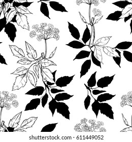 black and white seamless pattern with aegopodium blossoming