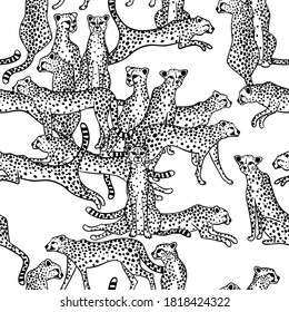 Black and white seamless pattern with cheetahs