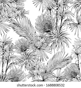 Black and white seamless pattern with exotic Pincushion flowers and palm leaves. Hand drawn vector illustration.