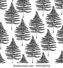 Black and white seamless pattern with ferns