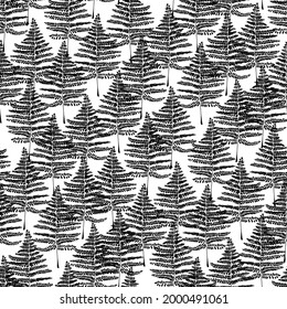 Patrón transparente blanco y negro con helechos