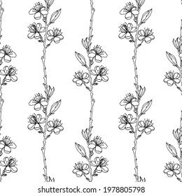 Black and white seamless pattern. Pattern with flowers and buds. Cherry blossoms and branches. Contour botanical drawing. For decoration and decoration of fabric, paper, packaging, wallpaper.