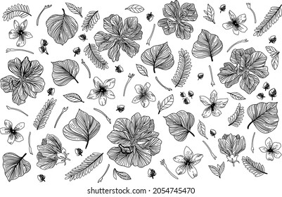 patrón ininterrumpido en blanco y negro con flores