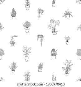 Patrón transparente en blanco y negro con plantas domésticas
