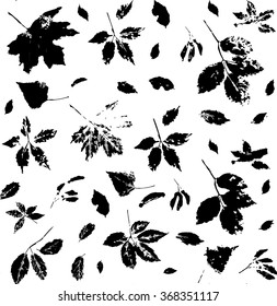 Black and white seamless pattern with leaves of wild grape, poplar, ash tree, leaves and seeds of maple stylized as stamp or imprint; rustic or boho style